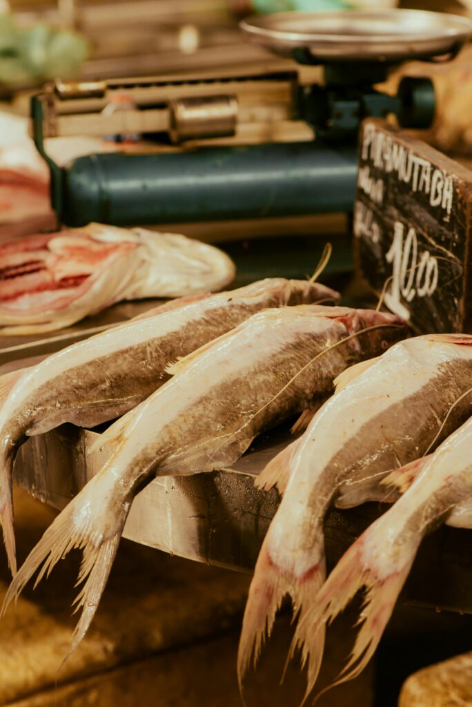 Fresh fish laid out for sale at a market stall, showcasing pristine seafood offerings.