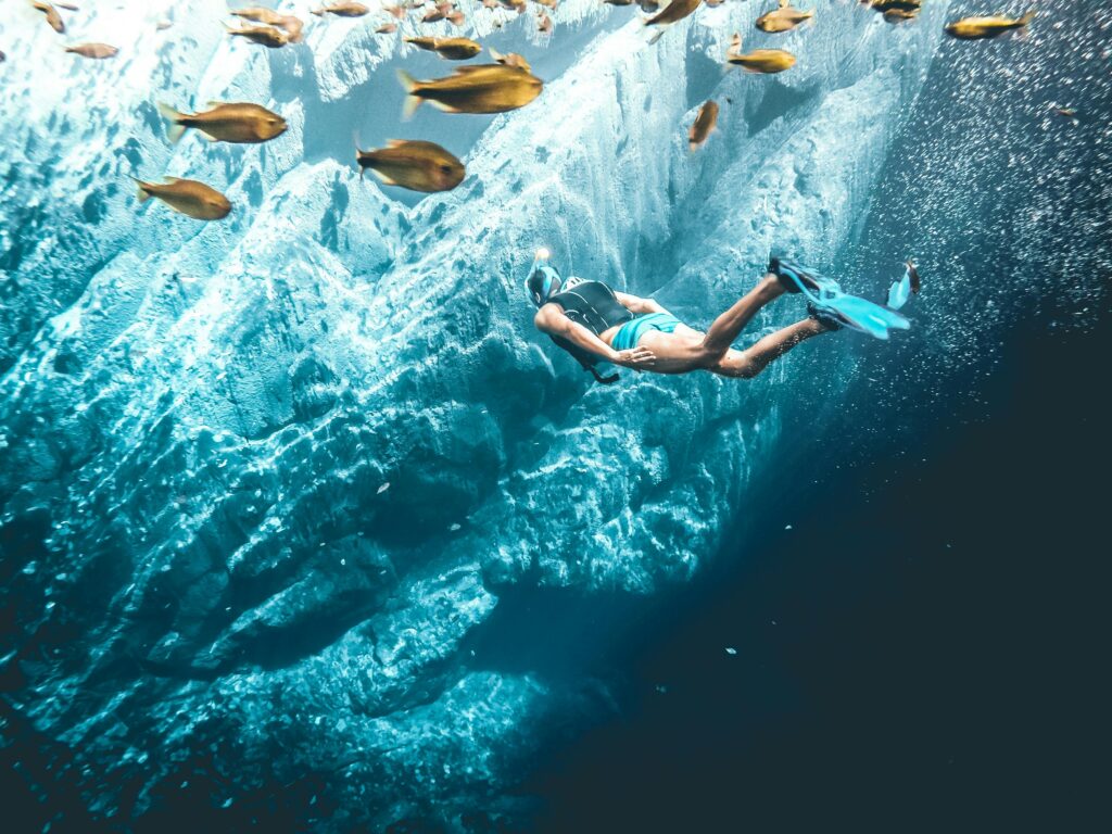 A captivating underwater snorkeling scene in Brazil showcasing vibrant fish and crystal-clear waters.